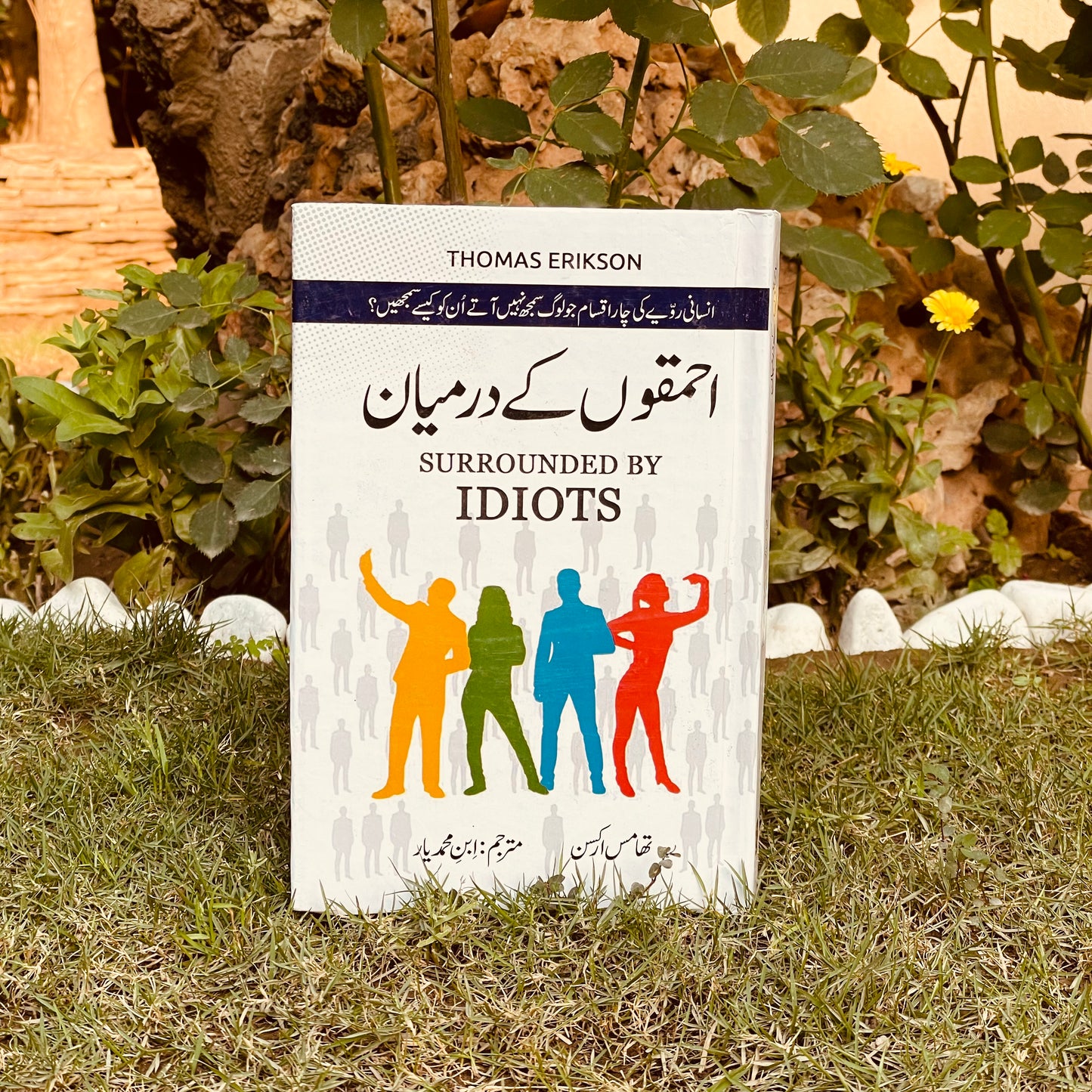 احمقوں کے درمیان (surrounded by idiots)