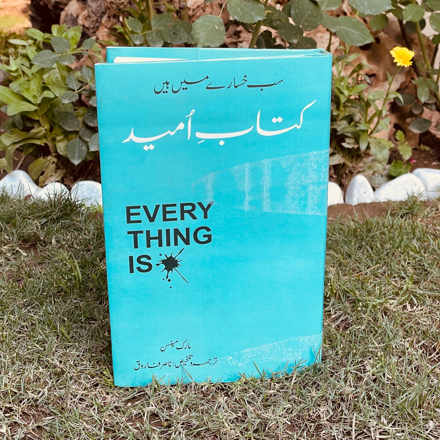 کتابِ اُمید ( * Everything is)