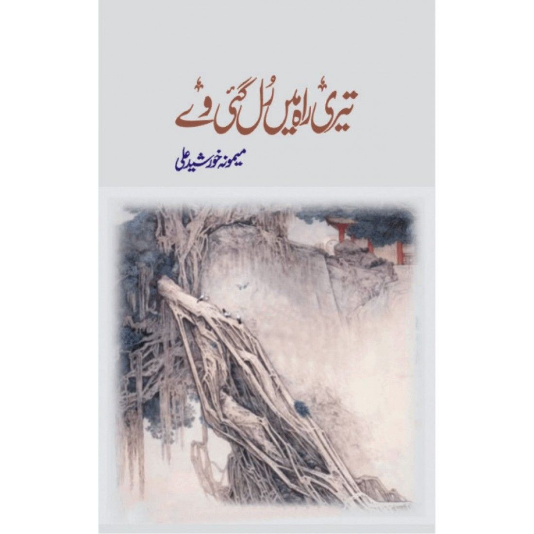 TERI RAH MEIN RUL GAI WY